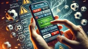 habibi account dashboard showing Togel 4D results and cashback balance